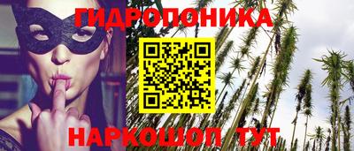 твердый Шебекино