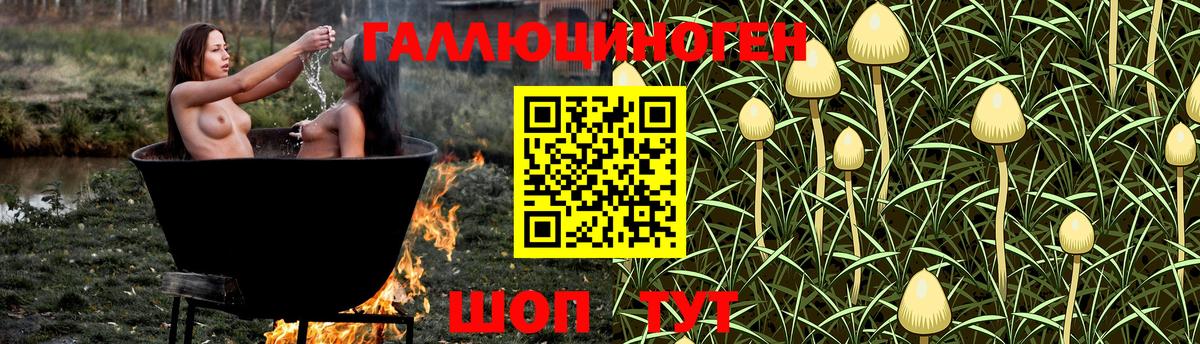 Псилоцибиновые грибы Magic Shrooms  Псилоцибиновые грибы Magic Shrooms  Артём  Вход с VPN 